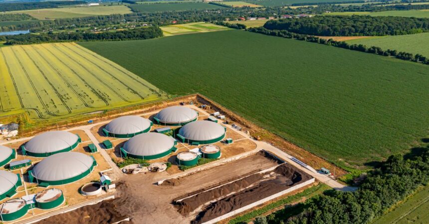 Prawnicy z GESSEL i KPMG doradzali przy sprzedaży biogazowni w Iłówcu Wielkim