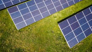 DZP doradzała Tauron Zielona Energia