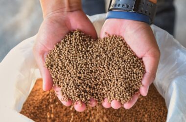 Kancelaria Sobczyńscy i Partnerzy | FSG Prawo doradzała Feed Expert przy joint venture z Phytobiotics