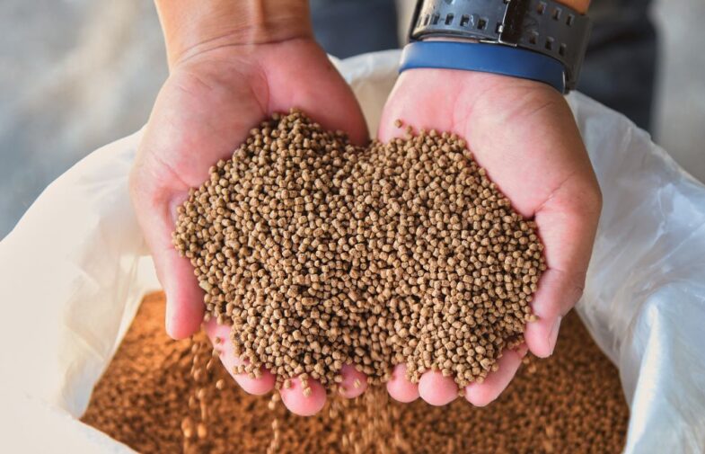 Kancelaria Sobczyńscy i Partnerzy | FSG Prawo doradzała Feed Expert przy joint venture z Phytobiotics