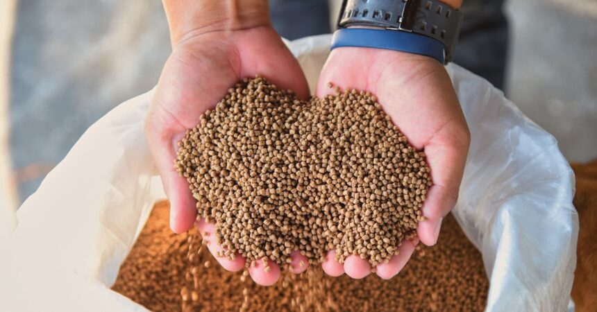 Kancelaria Sobczyńscy i Partnerzy | FSG Prawo doradzała Feed Expert przy joint venture z Phytobiotics Kancelaria Sobczyńscy i Partnerzy | FSG Prawo doradzała Feed Expert przy joint venture z Phytobiotics