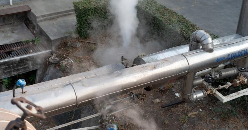 Andersen w Polsce doradzała Çalık Enerji Sanayi ve Ticaret A.Ş.