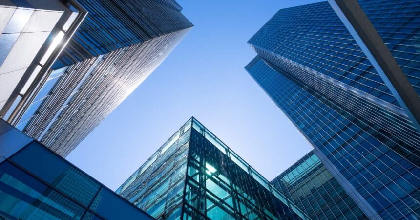 Rymarz Zdort Maruta doradzała Mennica Polska, FIP 11 FIZAN oraz Multico