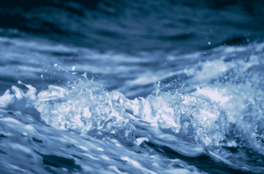 Sukces Sendero – uzyskanie zabezpieczenia roszczenia w sporze odszkodowawczym