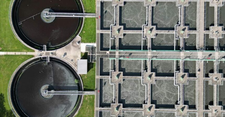 Dubiński Jeleński Masiarz i Wspólnicy doradzała Polskiemu Zielonemu Funduszowi przy inwestycji w Neo Bio Energy