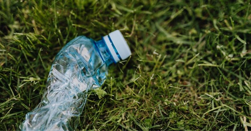 SSW doradzała Alba Polska przy przejęciu PUM Group w północnej Polsce