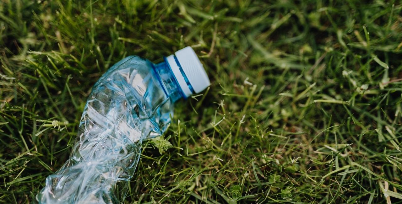 SSW doradzała Alba Polska przy przejęciu PUM Group w północnej Polsce