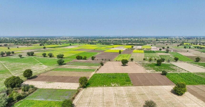 Baker Tilly Legal Poland doradzała Cloe Investments przy sprzedaży gruntów inwestycyjnych pod Elblągiem